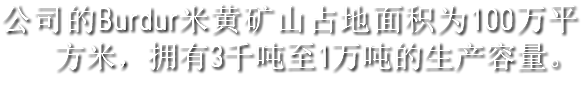 公司的Burdur米黄矿山占地面积为100万平方米，拥有3千吨至1万吨的生产容量。